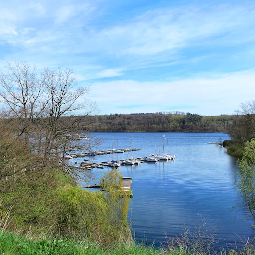 Treibgut Sorpesee - Thumbnail