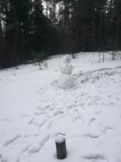 Photos of Varnikų pažintinis takas