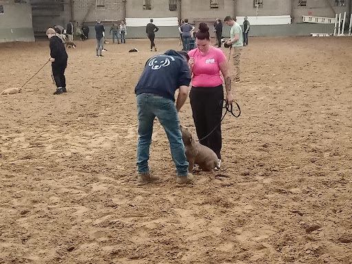 Honden Centrum Limburg