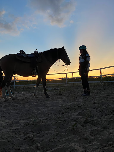 Elegancy Horse Riding academy - Thumbnail