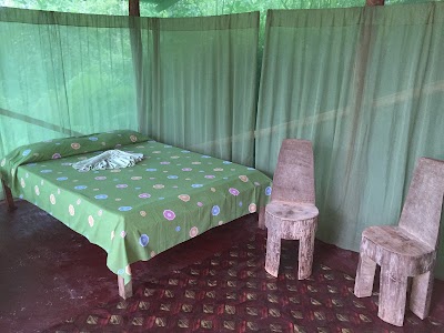 Photos of Isla Violin Eco-Lodge
