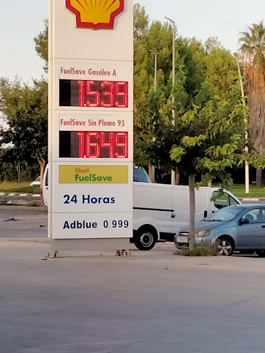 Shell Aldaia - Visual