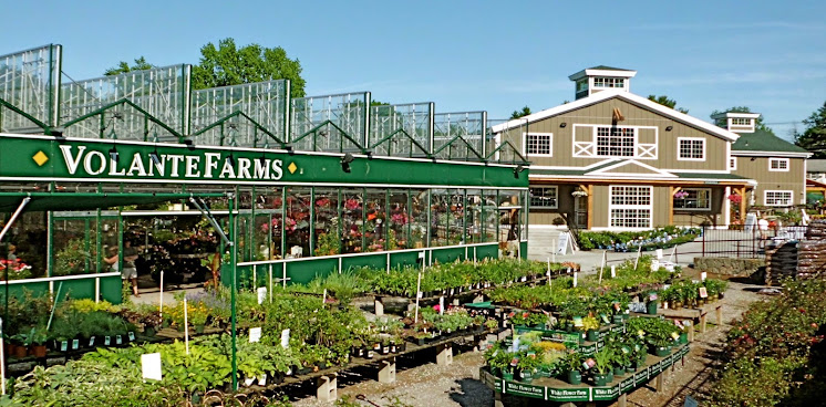 Volante Farms by null