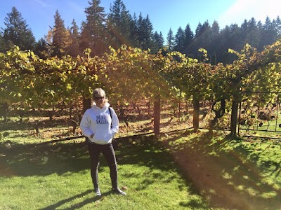 Whidbey Island Winery