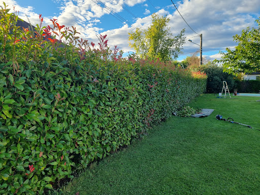Photo de Tim Entreprise service élagage jardinier entretien rénovation de la maison à Billère (64140)