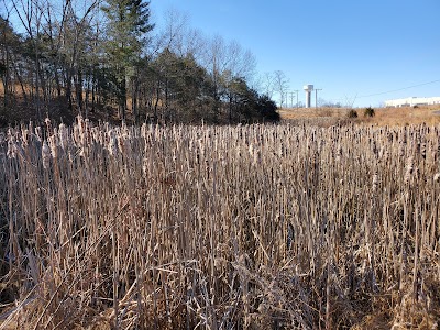 The Trails at Mill Place