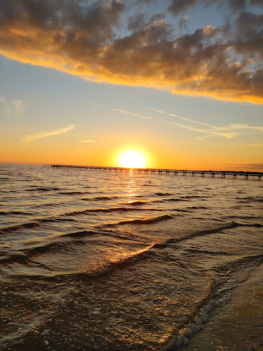 Bayshore Live Oak Park - Thumbnail