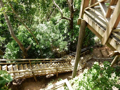 Photos of South Shore Canopy Zipline