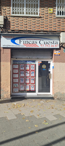 Fincas Cuesta - Thumbnail