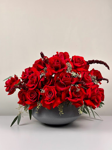 Proper Petals - Visual