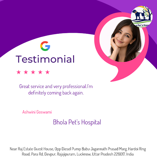 Ashwini Goswami's furry friend received top-notch care at Bhola Pet's Hospital in Lucknow. She lo… post image