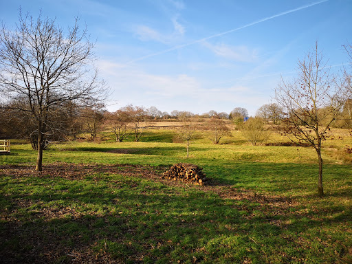 Walshes Park - Thumbnail