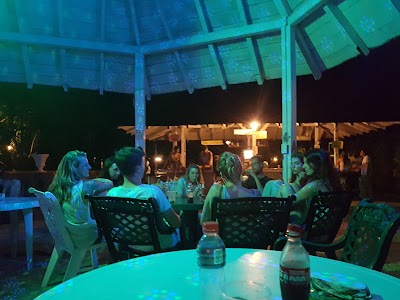 Photos of Golden Frog Hostels