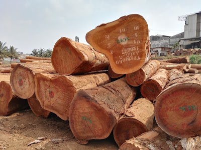 Photos of SCTB Cameroun (Soci&eacute;t&eacute; Camerounaise de Transformation de Bois)
