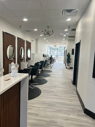 7 Salon - Visual