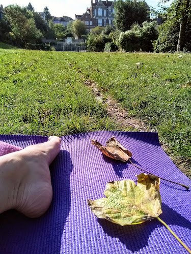 zoegyoga.com