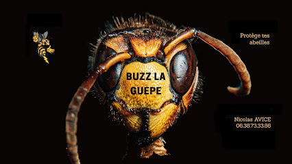 Buzz la Guêpe & Nuisibles (Désinsectisation Dératisation Désinfection)