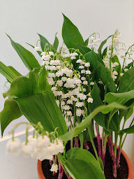 Photo n°9 de Cler Immo à Paris (Agence immobilière)