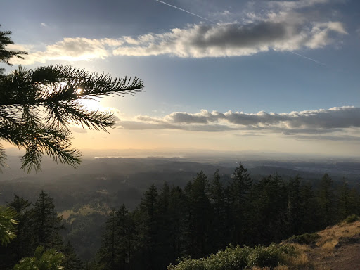 Umpqua Studios - Visual
