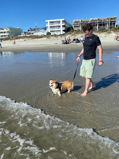 Parking - Isle of Palms - Thumbnail