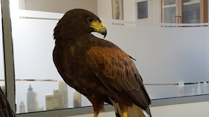 Photo n°5 de Groupe Vétérinaire St Bernard- Les Arcs Sur Argens à Les Arcs (Clinique vétérinaire)