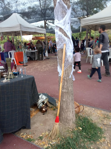 Plaça les vinyes