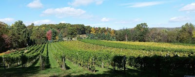 Halbrendt Vineyard & Winery