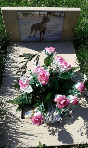 Cimitero Per Animali Di Bellaria - Thumbnail