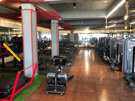 FIT7 By M. S. Dhoni, Yamunanagar