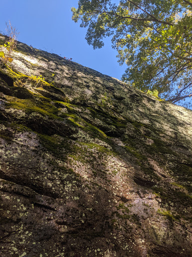 Norman Wilder Forest - Thumbnail