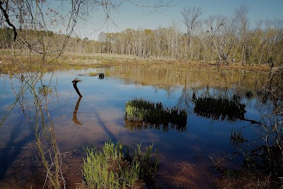 Lake Conestee