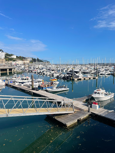 WeFerry - Torbay & Teignmouth - Thumbnail