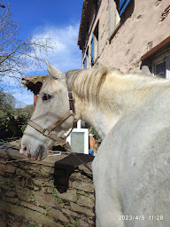 Photo n°5 de Centre équestre le Raziguet à Verdun-en-Lauragais (Centre équestre)