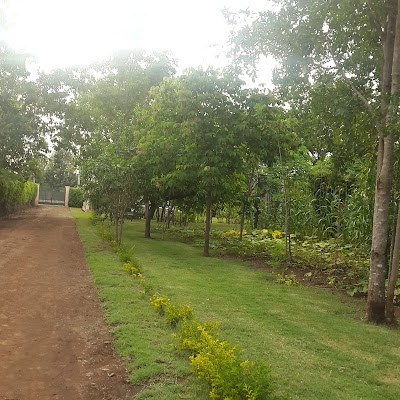Photos of Kijani Camp