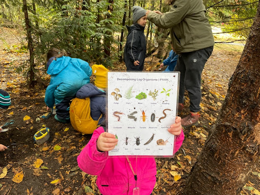 PNWK Forest School - Lake Stevens - Thumbnail
