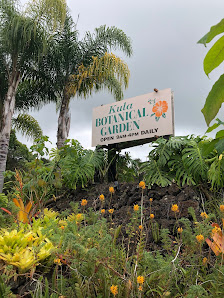 Kula Botanical Garden 638 Kekaulike Ave, Kula, HI 96790