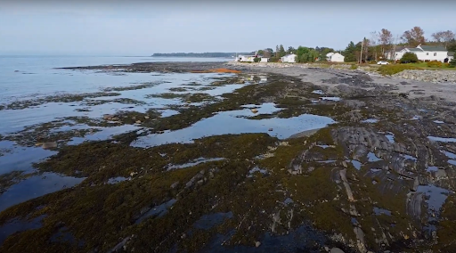 BAIE MITIS - Visual