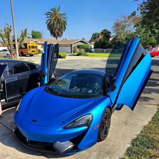 First Class Exotics - Visual