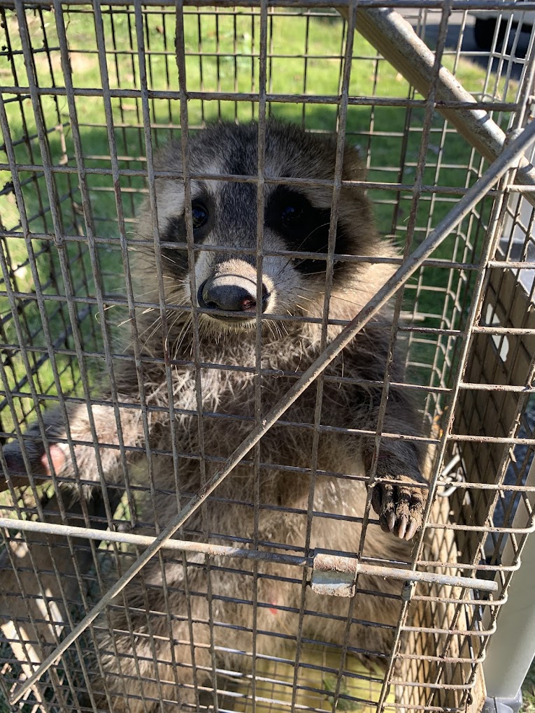 ８プロジェクト