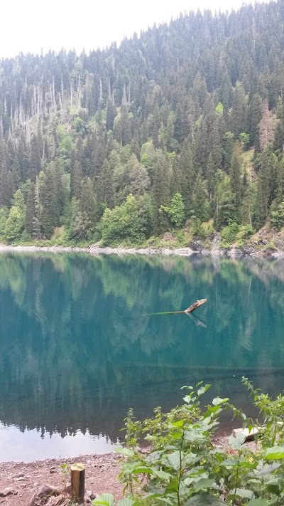 Photos of Lake Smaller Ritsa | Озеро Малая Рица