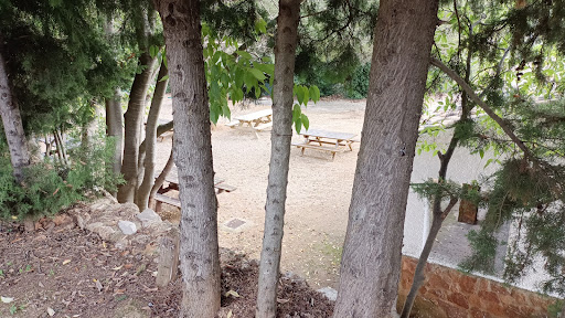Municipal fuente del espejo Park - Thumbnail