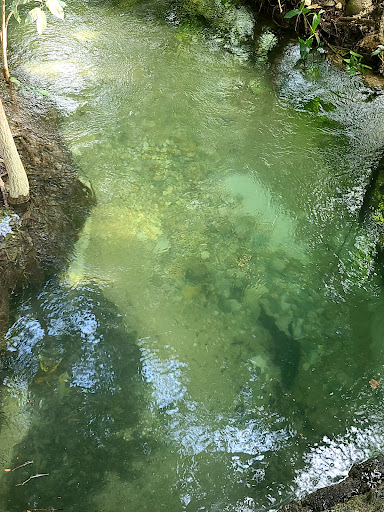 Balneario El Aguaje - Thumbnail