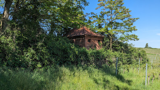 Am Wasserschlösschen - Thumbnail