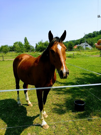 Photos of Crone farm