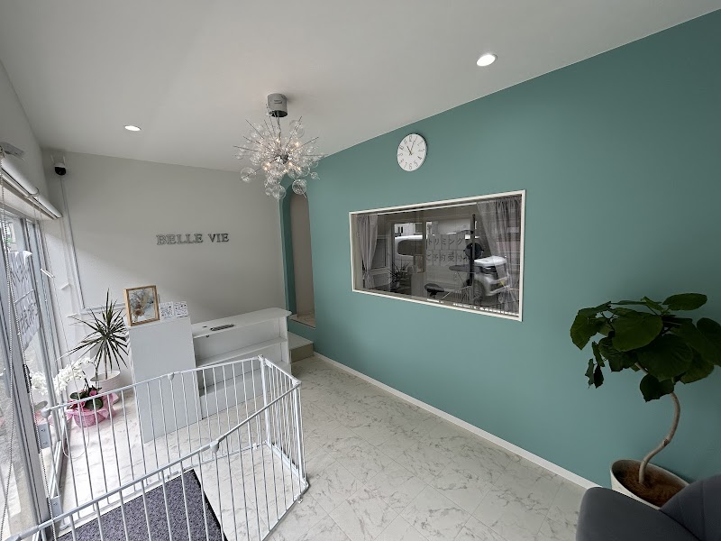dog salon Belle vie（ベルヴィ）