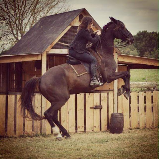 Theater Equestrian Des Utopies