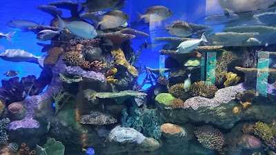 Oklahoma Aquarium