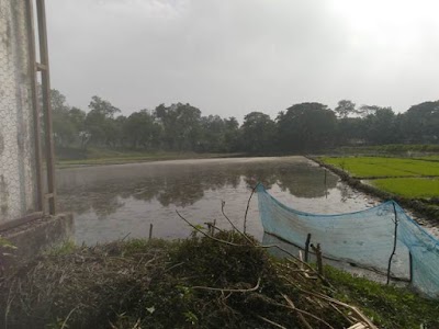 Photos of ভট্টবালিয়াঘাটা