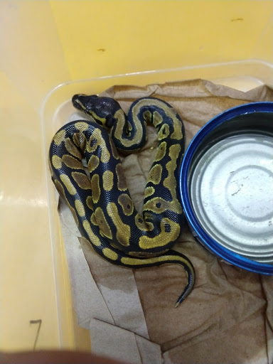 Eden, Mascotas y Acuario Gallery - Mexico