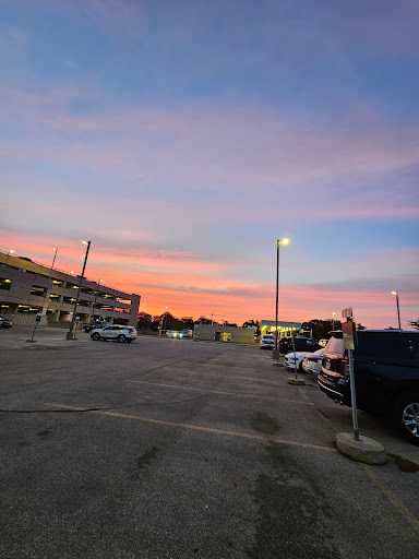 Rental Car Parking - Thumbnail